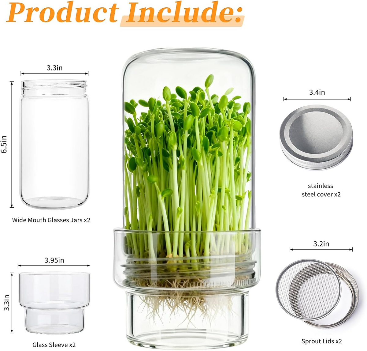 🥦 Updated Sprouting Kit - Sprouting Jar Kits