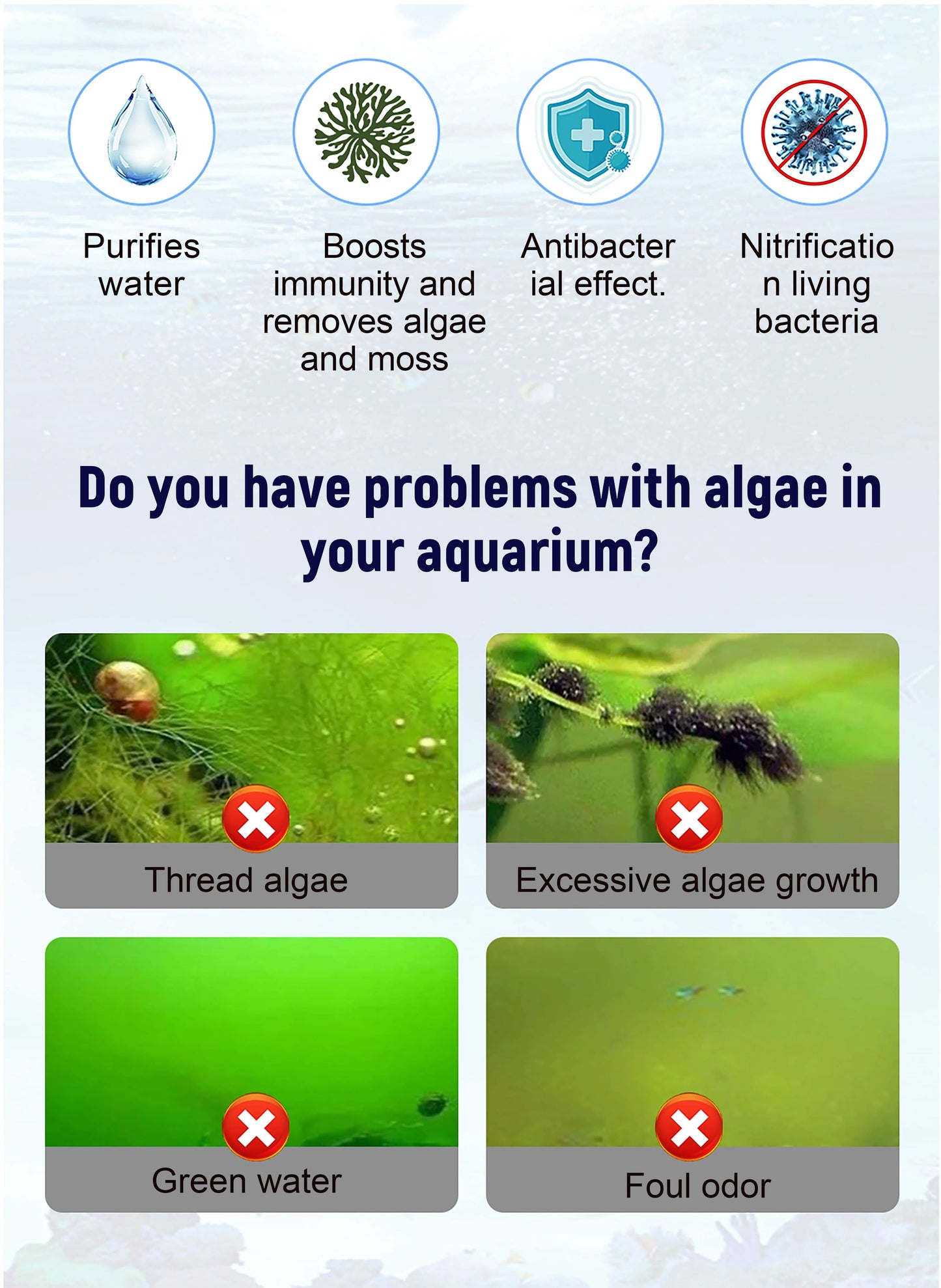 De aanbiedingđ„Mad Algaecide