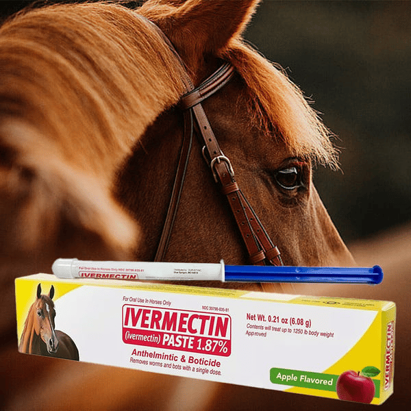 Ivermektin hästpasta 1,87% 6,08 g knöl