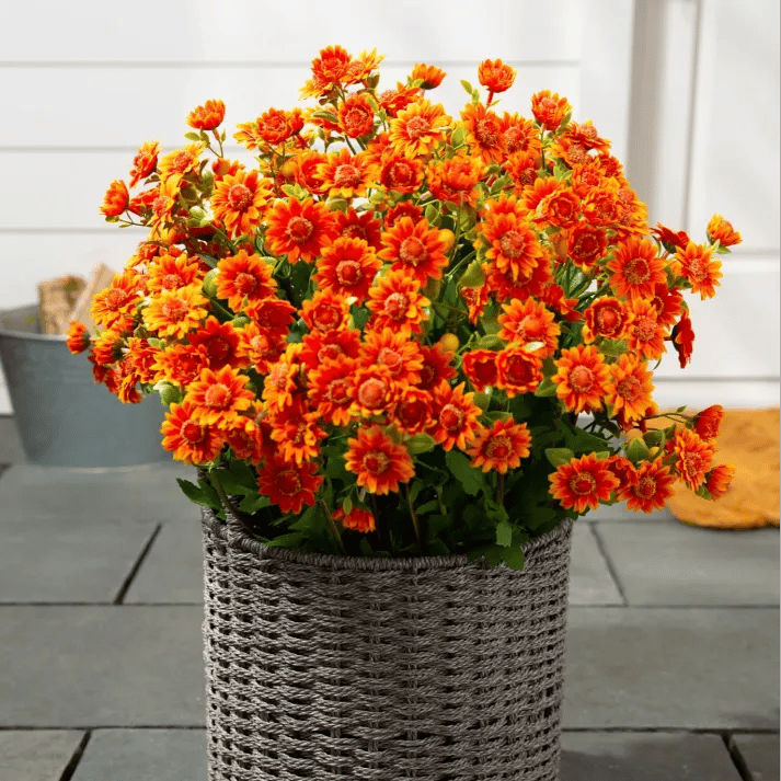 đ„Sista dagen! Endast 26 SEK styck â Konstgjorda utomhusblommor "Sunset Mums" â UV-bestĂ€ndiga, vattentĂ€ta och vindresistenta