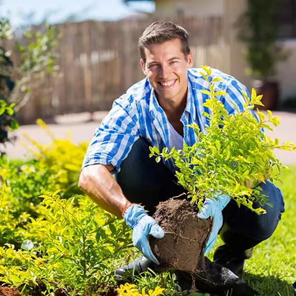 🌱 Blomstrande jord, enkelt naturlig - jordaktivator🌱