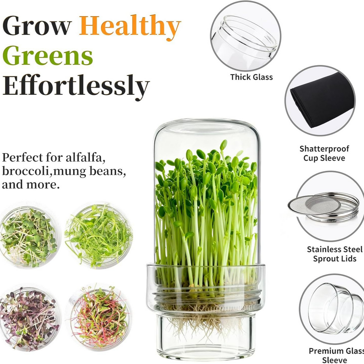 🥦 Updated Sprouting Kit - Sprouting Jar Kits