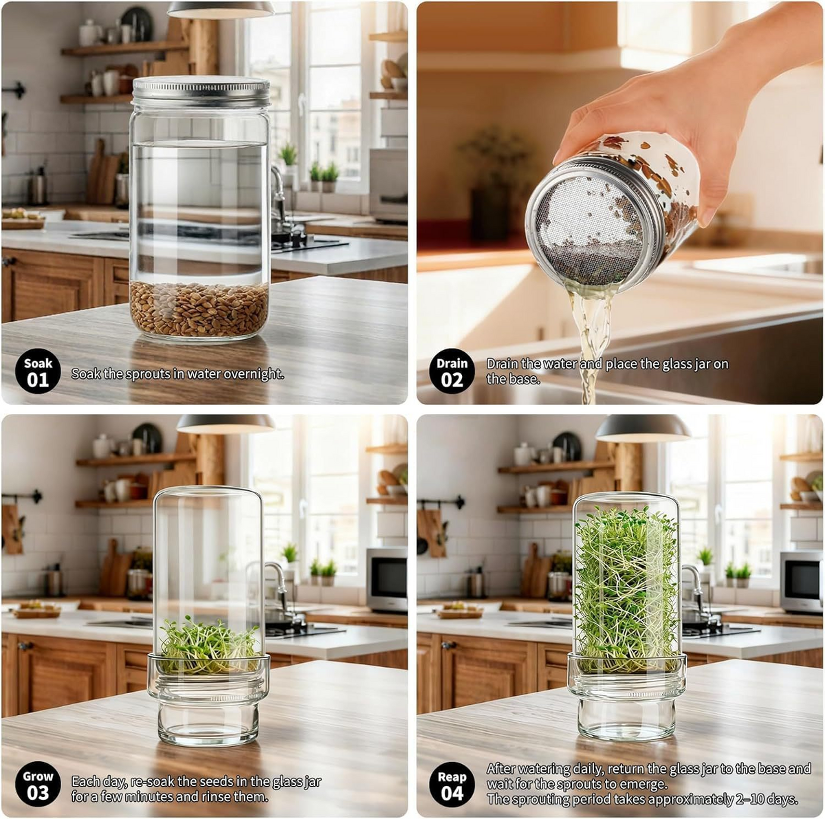 🥦 Updated Sprouting Kit - Sprouting Jar Kits