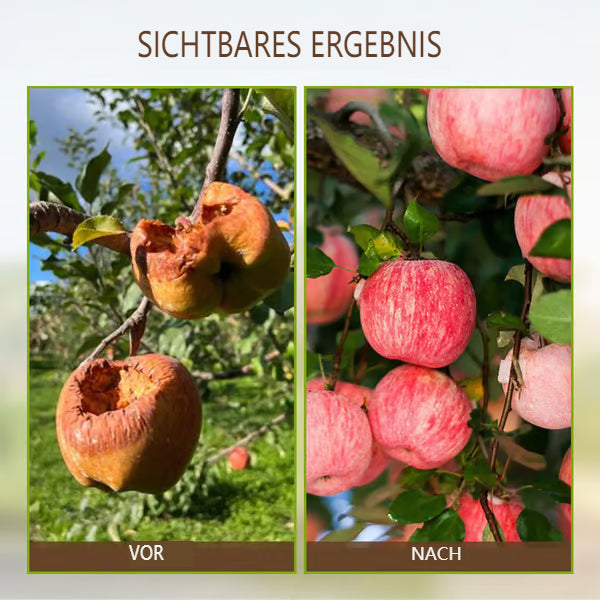 🌱 Blomstrande jord, enkelt naturlig - jordaktivator🌱