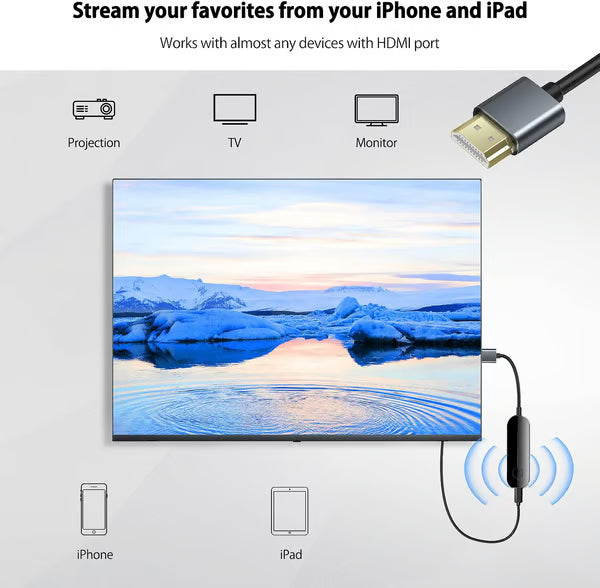 iShare iOS trådlös HDMI-skärmadapter