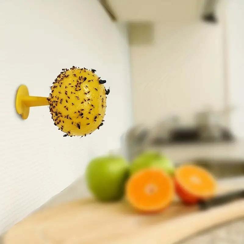 Fruktfluge- Och Knottfällbolla
