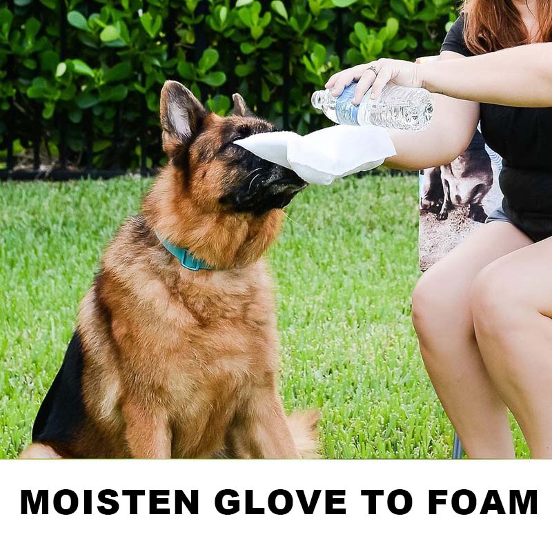 🐶🐱Vattenfria Schamponeringshandskar För Hundar - Hypoallergena Våtservetter För Husdjur