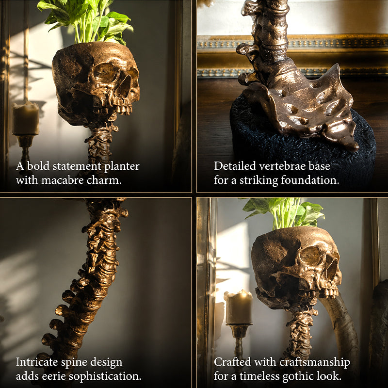 Gothic Skull Planter And Skeleton Vase Spooky Home Decor