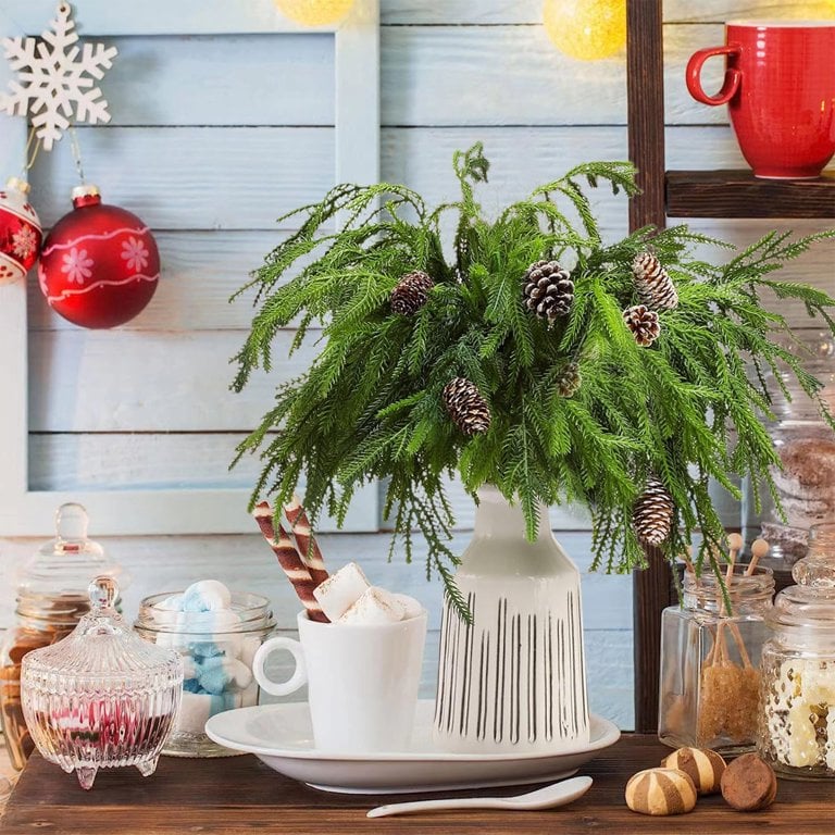 🎄Schönes Weihnachtsspecial 49% 🎄Norfolk-Kiefernzweig
