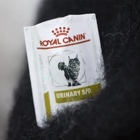 🎄✨Familjärer av ullfilt – originella handgjorda följeslagare