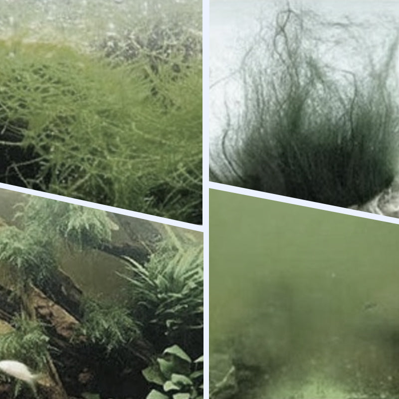 🔥Hot Sale🔥Kraftfull vattenrenare för akvarium för akvariefiskar