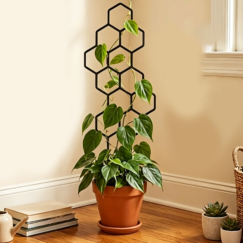 🌿 TIDSBEGRÄNSAT ERBJUDANDE: 50 % RABATT! ✨ Växtstöd i bikakemönster – Rostfritt, stapelbart, enkelt att montera 🐝